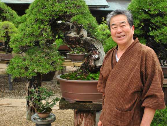 盆栽芸術 小林国雄の世界 楽天市場】盆栽芸術−天− 小林国雄の世界の通販