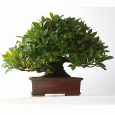 13758417465201add22660a_201308