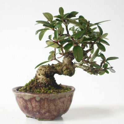 142424194854e4351c9cce7_201502