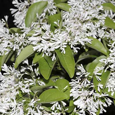 1476681962580460ea9a4b4_201610