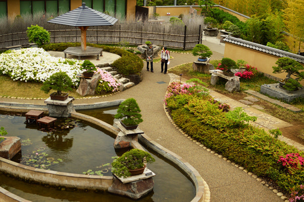 Bonsai is now worldwide – 盆栽妙 本店
