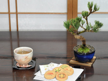 【父の日】和三盆クッキーとミニ五葉松 丸小鉢