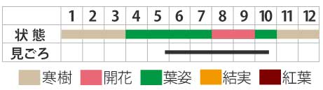 Best Time Map