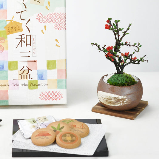 和三盆クッキーとミニ長寿梅 ハケメ丸鉢