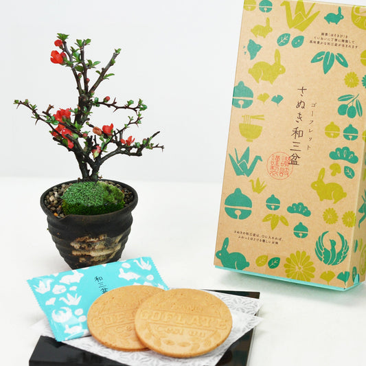 和三盆ゴーフレットとミニ長寿梅 信楽焼つぼ鉢