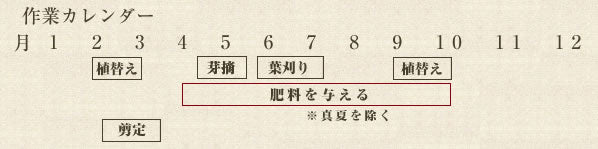 年間作業