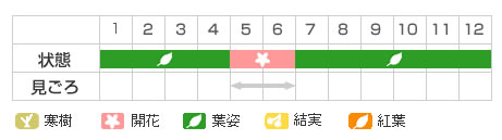 Best Time Map