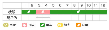 Best Time Map