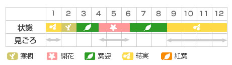 Best Time Map