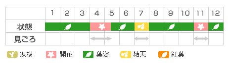 Best Time Map
