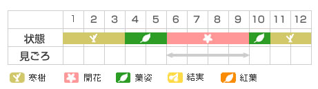 Best Time Map