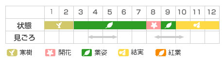 Best Time Map