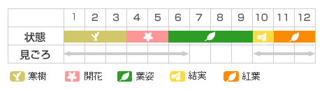 Best Time Map