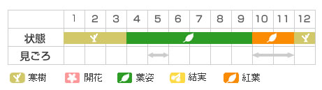 Best Time Map