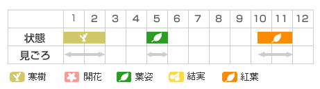 Best Time Map