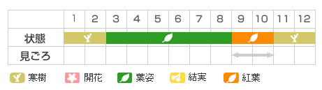 Best Time Map