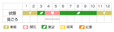 Best Time Map