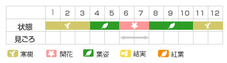 Best Time Map