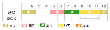 Best Time Map