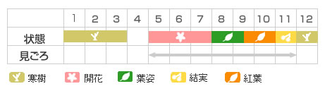 Best Time Map