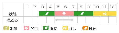 Best Time Map