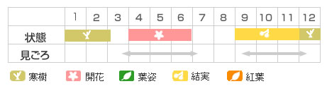 Best Time Map