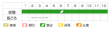 Best Time Map