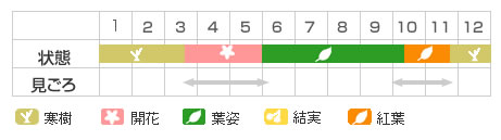 Best Time Map