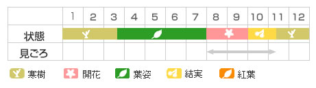 Best Time Map