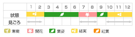 Best Time Map