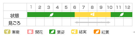 Best Time Map