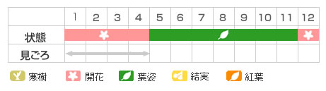 Best Time Map
