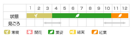Best Time Map