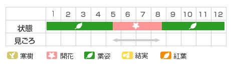 Best Time Map