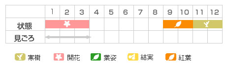 Best Time Map
