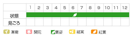 Best Time Map