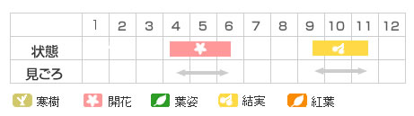Best Time Map