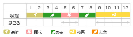 Best Time Map