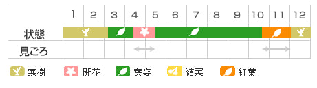 Best Time Map