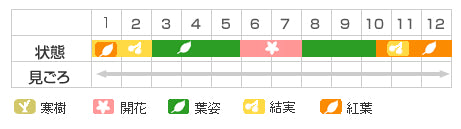 Best Time Map