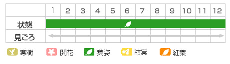 Best Time Map