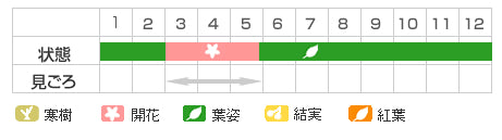Best Time Map