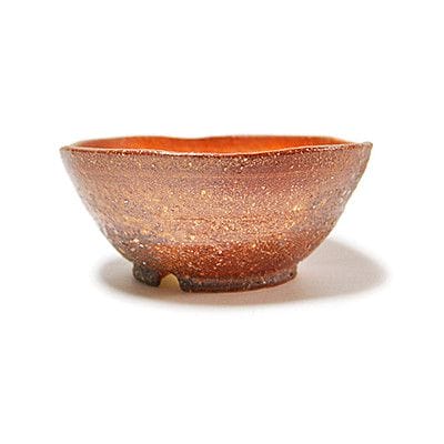丸浅大 火色 【盆栽鉢】【5号】【伊賀焼】｜盆栽妙 – 盆栽妙 本店
