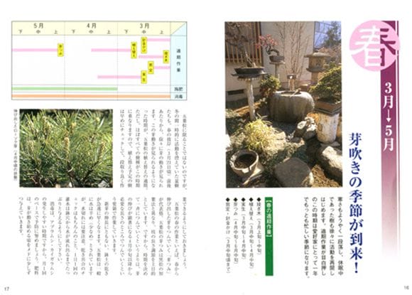 【書籍】盆栽 五葉松の育て方 本 ブック　近代出版