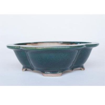一点物 盆栽鉢】 美芸 No.152|盆栽妙 – 盆栽妙 本店 一点物 盆栽鉢】 美芸 No.152|盆栽妙 – 盆栽妙 本店