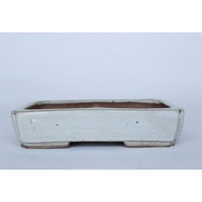一点物 盆栽鉢】 平安虹泉 No.185｜盆栽妙 – 盆栽妙 本店