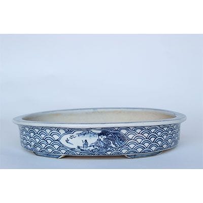 一点物 盆栽鉢】 越前芳水 No.221｜盆栽妙 – 盆栽妙 本店