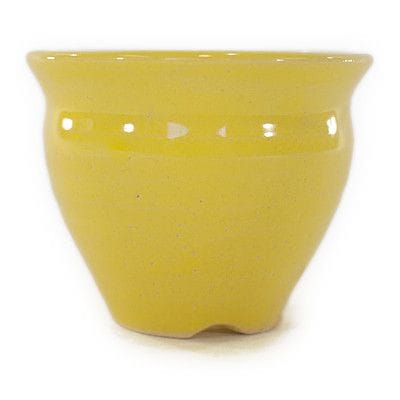 植木鉢】【陶器鉢】 黄ミニ鉢を販売｜盆栽妙 – 盆栽妙 本店