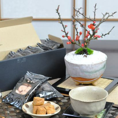 長寿梅 信楽鉢と瀬戸内ラスクのセットの盆栽を販売｜盆栽妙 – 盆栽妙 本店