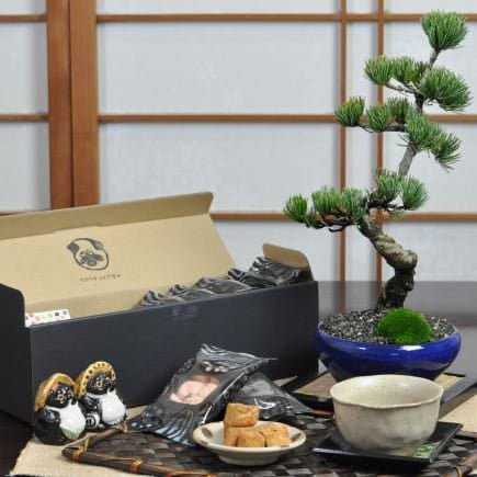 盆栽鉢 寄せ植え （海鼠）